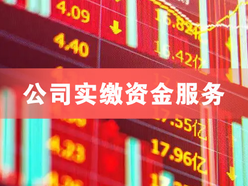 荷泽公司实缴资金服务